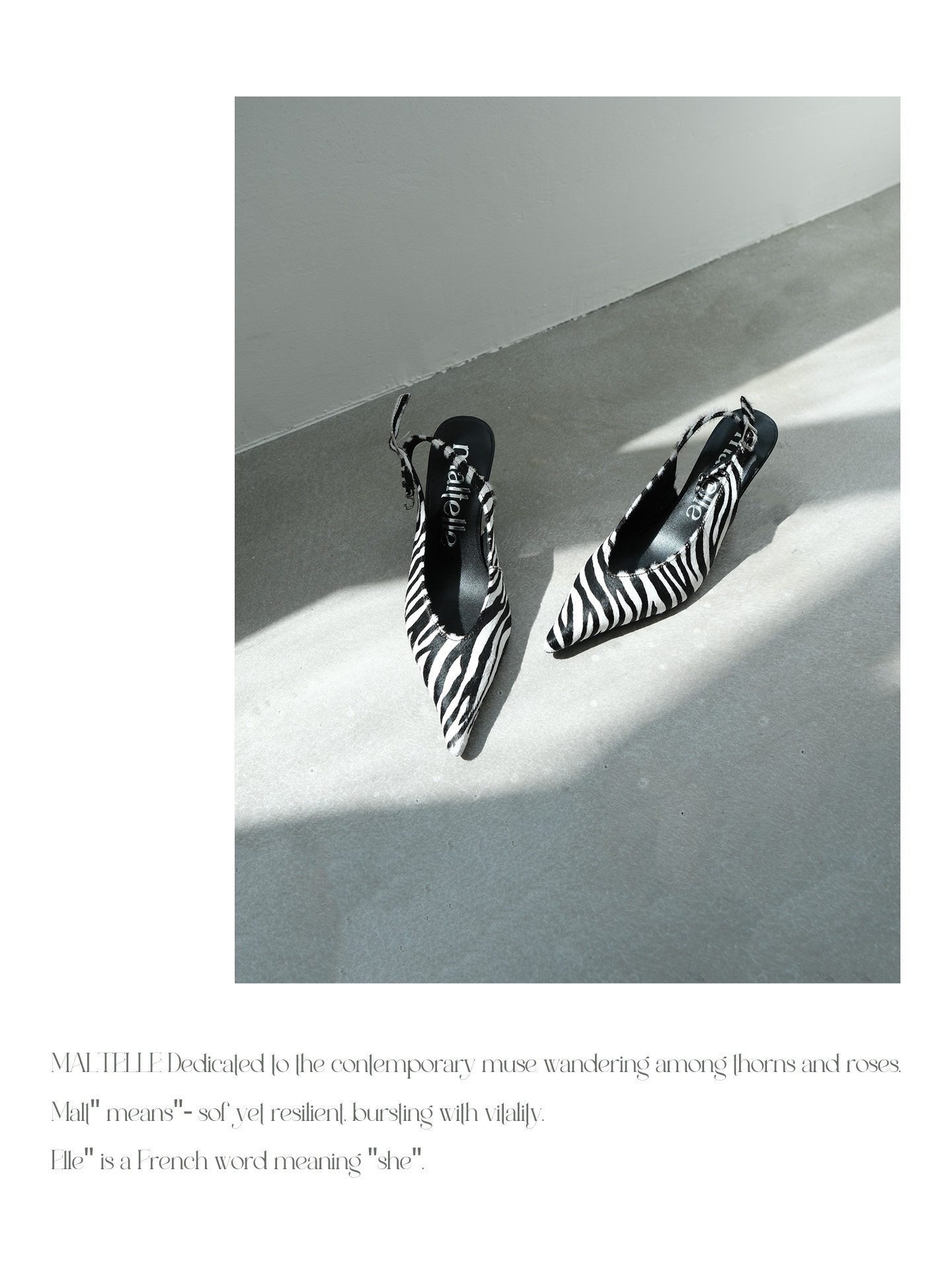 Zebra Print Calf Hair Pointed Toe Stiletto Pumps